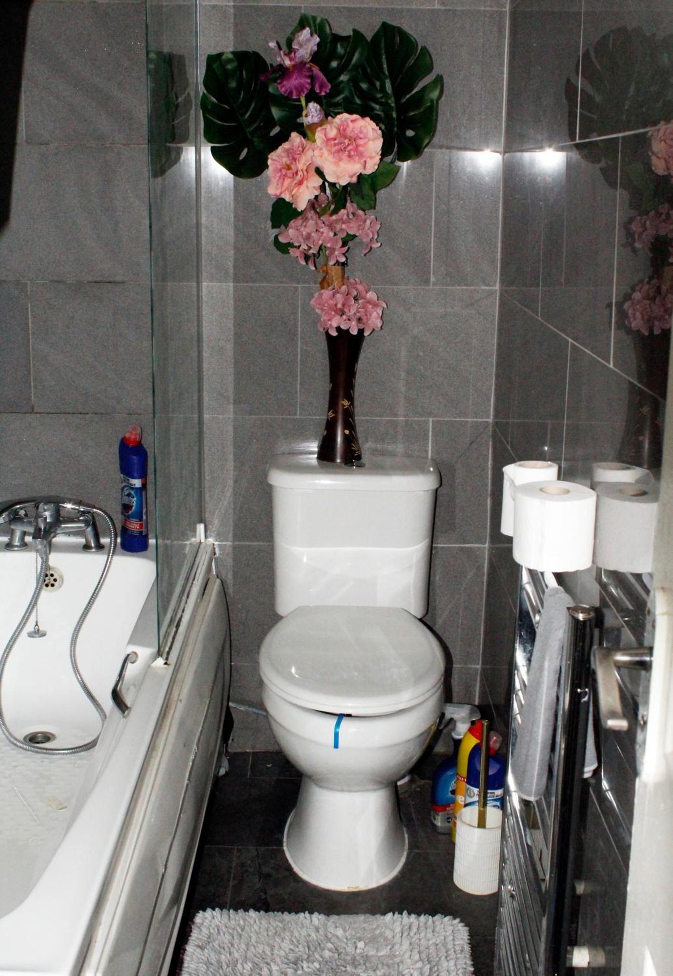 Cozy Rooms Or Entire Apartment In London, Fast Links To Central Εξωτερικό φωτογραφία